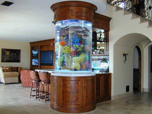 Fish Aquarium Tank